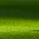 일동레이크대중제골프장 이미지