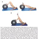 Muscular Balance, Core Stability, and Injury Prevention에 대하여 이미지