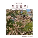 교동향교 주차장 | 밀양 교동 향교_나홀로 매화 보러 가기(26.03.06)