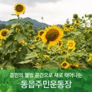 동읍 주민운동장 이미지