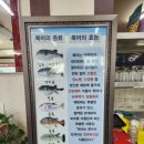 해진정 | 복어 맛집 덕계 해진정 리뷰!!