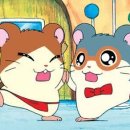 방가 방가 이미지