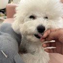 오르미네일