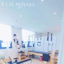 입암동필라테스 강릉시 재활 체형교정 오드리 필라테스 가격 주차 후기