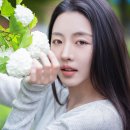 설숲