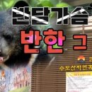 수도산자연휴양림 이미지