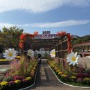 대장경기록문화축제 이미지