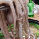 매송고색로794번길 이미지