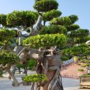 한국폴리텍 VI 대학 대구캠퍼스 이미지