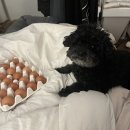 본죽&비빔밥 목동파리공원점 이미지