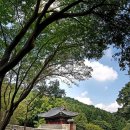하성정비 | <문경별곡 제9장> 북방 방어의 요충지이자 관방의 중심, 제3관문 조령관(鳥嶺關)