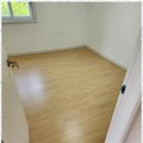 영 인테리어 이미지