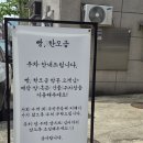 51 | 대전 자양동 우송대 빵집 <빵 한모금> 1호점 추천 메뉴 미트파이 에그타르트 후기