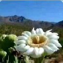 대통공인중개사사무소 이미지