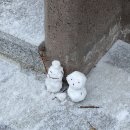 세븐일레븐 도안대왕점 | 2021년 1월의 기록