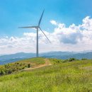 하늘목장 이미지