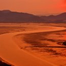 순천만 풍경 이미지