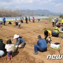 김양수농장 이미지