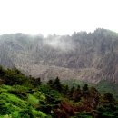 한라산천연보호구역 이미지