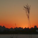 율동공원 이미지