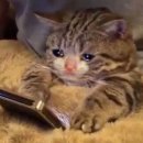 메디컬오한의원 이미지