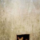 나무 밑 고양이 이미지