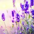 워터매니저 이미지