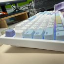 캔디독 | 한성컴퓨터 TFG Cloud CF 유무선 기계식 키보드 ‘코튼캔디’ 브라운토독 저소음축 내돈내산 후기