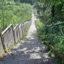 대룡산주유소 이미지