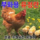 늘푸른청계농원 이미지