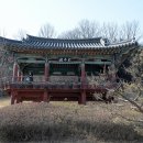 상주여자중학교 | 상주목 관아의 정문 태평루, 객사 상산관, 관정 침천정