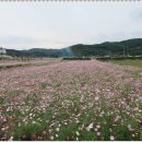 사천(순천) 이미지