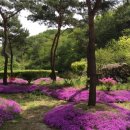 큰골민박 이미지