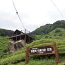 바퀴달린집2 지리산 촬영지 경남 하동 도심다원 (윤아 병철)