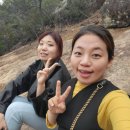 영암초중고길 | 전남 3월 가볼만한곳 영암왕인박사 축제 벚꽃 개화 상황 직접 다녀왔어요~ 주소 주차장