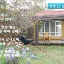 예술극장온 Daum카페