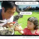 하얀산장민박 이미지