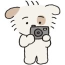 둥둥펫살롱 네이버블로그