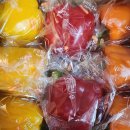 탐진농장 이미지