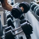 PnB 피트니스 이미지