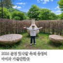 생활다례 | 2026 문경 찻사발 축제 아이체험 가볼만한곳 다녀온 후기 패스권 총정리