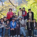 시나브로통기타 이미지