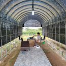 닛시농장 이미지