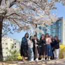 잎새쌈밥 | 일산 애니골 잎새쌈밥 🌿🥬｜모임하기 좋은 쌈밥 맛집 후기