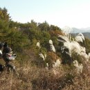 발랑3리 이미지