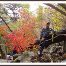 풍경소리길 이미지