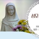 성모 승천 대축일 미사 이미지