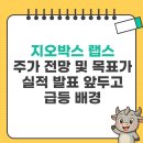 지오박스 랩스 주가 전망 및 목표가 실적 발표 앞두고 79.67퍼센트 급등 배경