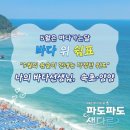5월은 바다가는달 강원도 속초 양양 여행코스 볼거리 9 유명한절 낙산사 수산항 청초호 야경