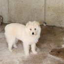 안정로14번길 이미지